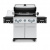 Газовый гриль Broil King Regal S590IR