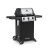 Газовый гриль Broil King Gem 310