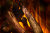  British Fires  New Forest 870 с натуральными дровами
